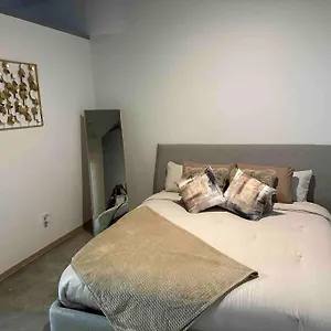 Apartment Luxury Cozy Loft Downtown Stl, Saint Louis